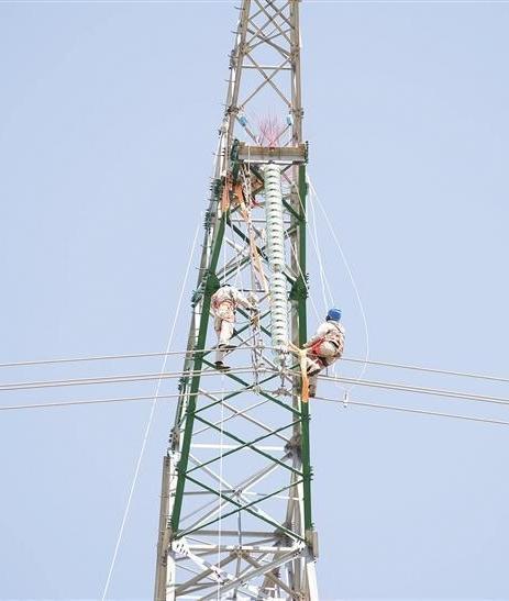 tất cả các lực lượng